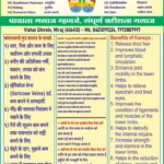 https://kansyathali.in/